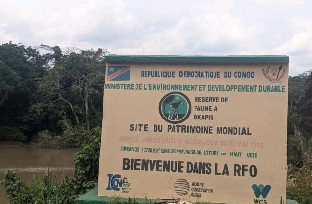 Ituri : 3 écogardes de l'ICCN assassinés dans une attaque armée à la RFO