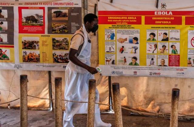 Ouganda : l'OMS déclare officiellement la fin de l'épidémie d'Ebola