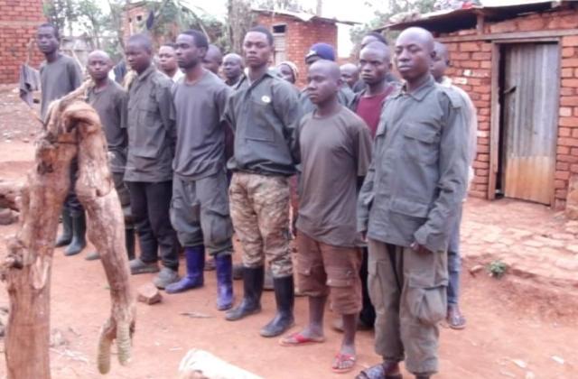 Fizi : 17 combattants du M23 se rendent et un capturé par les FARDC à Abala, Nyaruhinga et Kabanja