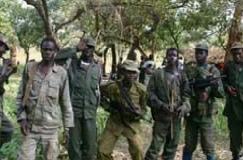 Mambasa : “Dans l'intervalle de six mois, des ADF tuent 75 civils, incendient une vingtaine de véhicules” (NSCC)