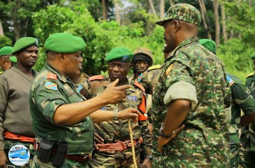 Beni : Quatre combattants ADF se rendent auprès de la coalition FARDC-UPDF à Bashu