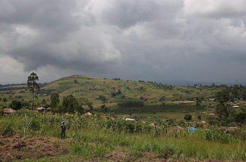 Ituri : 4 morts et plusieurs blessés dans une attaque des ADF à Bandimbese