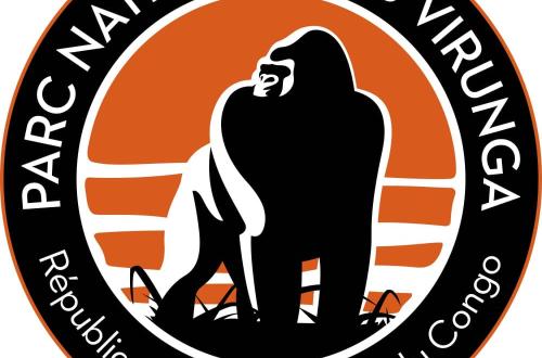 Beni : Les jeunes ont célébré le 98ᵉ anniversaire du Parc National des Virunga dans une soirée culturelle