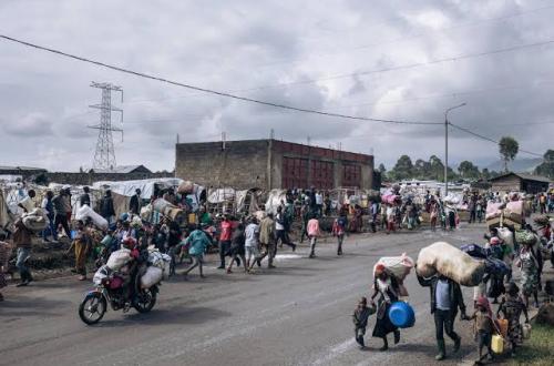 Goma : Le Chômage, un autre fléau qui frappe la Jeunesse