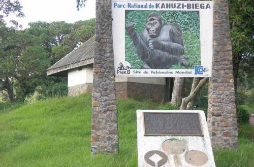 Nord-Kivu : Le parc national de Kahuzi Biega entame des discutions pour mettre sa visibilité et bureau de liaison à Goma