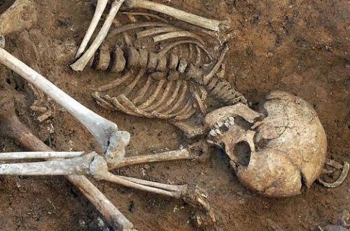 Nord-Kuvu : Découverte des ossements humains en secteur de Beni-Mbau