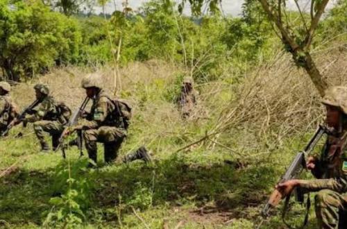 Guerre du M23 : La RDC exhorte le Conseil de Sécurité de l’ONU à opérer des sanctions ciblées contre les acteurs impliqués