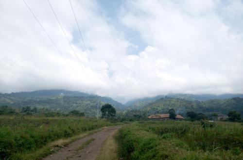 Beni : Des ADF tuent trois civils dans le Ruwenzori