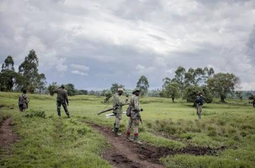 Massacre des civils à Rutshuru : Les FARDC accusent les RDF/M23 de perpétrer des crimes contre l'humanité