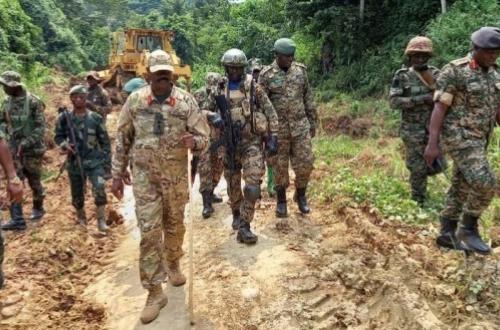 Beni : Une dizaine de combattants ADF neutralisés par la coalition FARDC-UPDF en l'espace d'un mois