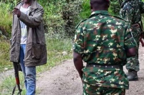Nord-Kivu : Des combats en cours entre le M23 et les miliciens Wazalendo dans le territoire de Rutshuru