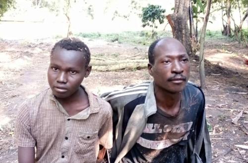 Beni : Deux présumés membres de l'ADF se rendent aux forces conjointes FARDC-UPDF près de Lume