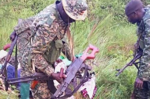 Opérations FARDC-UPDF : un combattant ADF neutralisé lors d'une embuscade tendue dans le Mughalika