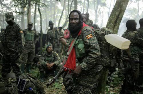 Traque des ADF : Les opérations conjointes FARDC-UPDF s'étendent à Mambasa