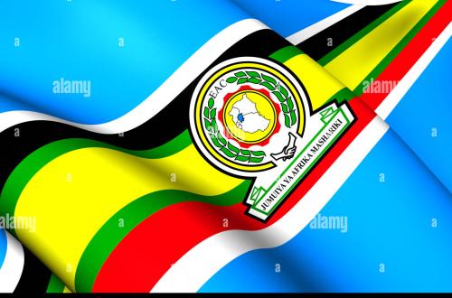 Prétendue inefficacité des troupes de l'EAC au Nord-Kivu : Le collectif des victimes de l'agression Rwandaise demande leur départ dans l'immédiat