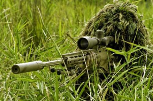Beni : En pleine opération des produits champêtres, deux ADF neutralisés par l'armée