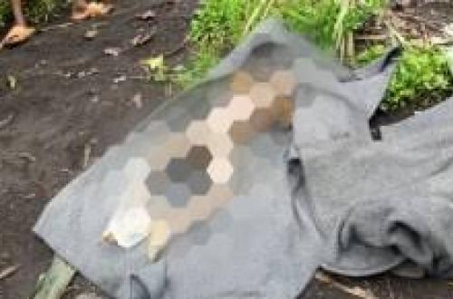 Masisi : Deux corps des enfants de moins de 10 ans retrouvés morts à Sake