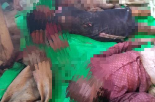Ituri : 4 personnes tuées et 3 blessées par les ADF au village Mungamba