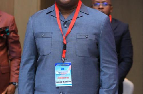 Élections RDC 2023 : L'UDPS appelle ses membres à se mobiliser dimanche prochain au stade des Martyrs pour le lancement de la campagne électorale de Félix Tshisekedi