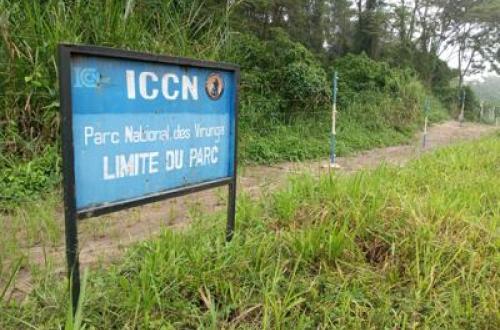 Insécurité au Nord-Kivu : l'ICCN dénonce les personnes malintentionnées sont entrain d'assimiler les éco-gardes aux combattants du M23-RDF dans le but de galvauder son image