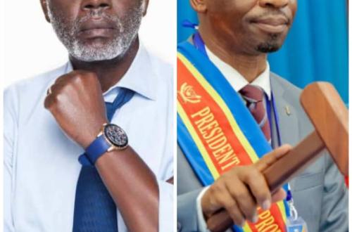 Contentieux électoral : Elvis Mutiri wa Bashara prend la place de Kambale Nzughundi à l'assemblée provinciale du Nord-Kivu