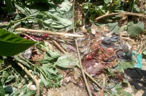 Butembo : Un militaire  FARDC se suicide après avoir blessé une femme par balle