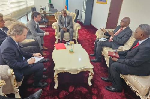 Guerre du M23 : la RDC présente à l'OIF ses attentes autour de la guerre dans l'Est du pays