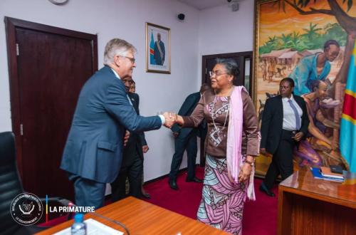 Coopération renforcée entre l'ONU et la RDC pour la stabilisation de la partie Est du pays