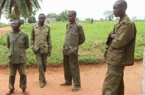 Les FARDC lancent l'opération de recrutement des jeunes pour intégrer l'armée sur toute l'étendue du pays