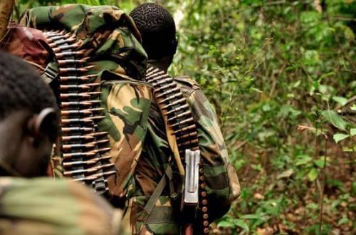 Le bilan de l'attaque des présumés combattants ADF dans le Bangole s'alourdit