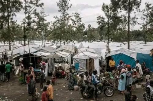 Un couple de déplacés abattu par des hommes en uniforme à Bulengo