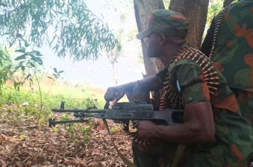 L’armée Congolaise neutralise dix miliciens Mubondo près de Kinshasa