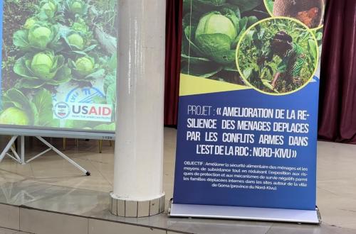 La FAO lance un projet d'amélioration de la résilience des ménages déplacés par les conflits armés