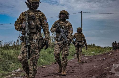 « Les FARDC déterminées à restaurer la paix et la sécurité dans toutes les zones de défense » (Gouvernement)
