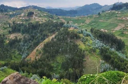 L'armée congolaise abat six drones kamikazes de la force spéciale de l'armée rwandaise