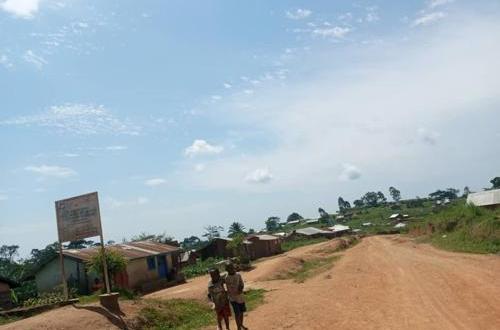 Quand des Wazalendo s'ajoutent aux ADF pour insécuriser Mambasa