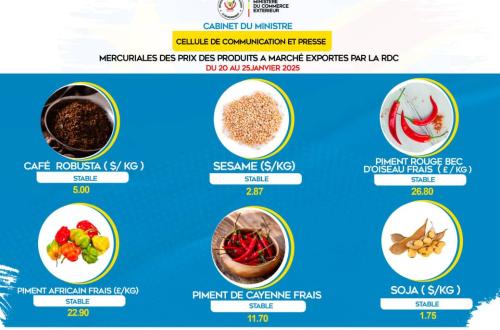 Diversification économique et évolution des prix des produits stratégiques
