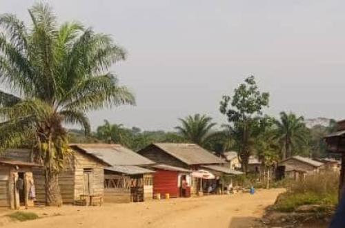 Des Pygnées parmi les civils tués par des ADF à Irumu