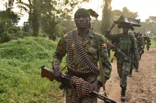Près de 242 miliciens de la CODECO tués par l'UPDF à Djugu