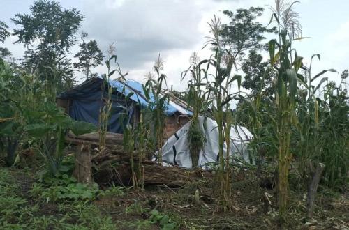 Disparition de 11 civils à Mayangose, présumés enlevés par les ADF
