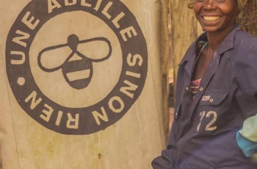Journée Internationale des Abeilles : À Goma, la guerre a paralysé le travail des apiculteurs (Reportage)