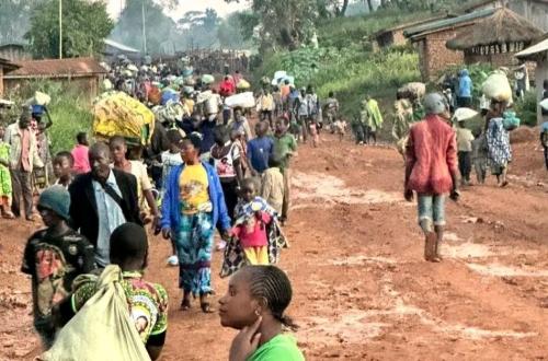 Ituri : violences et déplacements massifs, la province face à une crise humanitaire majeure