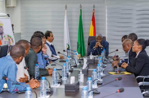 Industrialisation : Fer Guinée Multi-Industrie présente l'état d'avancement de son usine au premier ministre