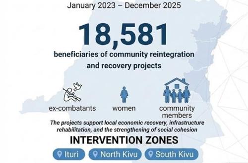 Est de la RDC : plus de 18 000 personnes soutenues par des programmes de réintégration entre 2023 et 2025