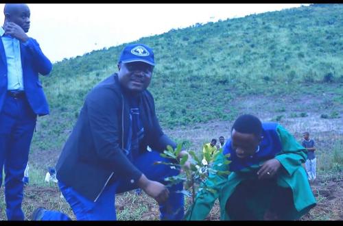 Kinshasa : le gouvernement Congolais et « PHIN Macadamia Nuts » lancent la première phase d’implantation de pépinières de  macadamia