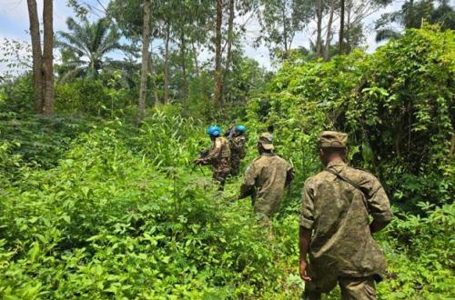 Nord-Kivu : les opérations conjointes FARDC–MONUSCO renforcées sur l’axe Mavivi–Mandumbi