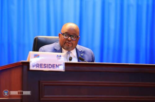 RDC : face à l'insécurité des Congolais en Afrique du Sud, l'assemblée nationale annonce une mission parlementaire