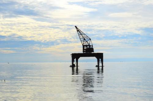 Accord bilatéral RDC-Ouganda : la société civile appelle à un moratoire pour protéger les écosystèmes du lac Albert et de la rivière Semuliki