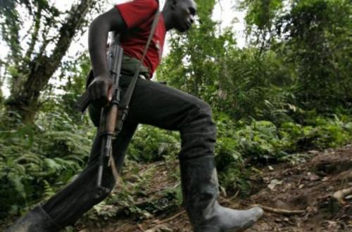 Mambasa : cinq cultivateurs enlevés par des présumés ADF à Kitengi