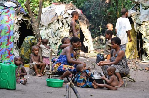 Beni : après le massacre de Ngadi, les autochtones pygmées dénoncent une « stratégie d’extermination »